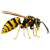 wasp icon img