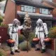 wasp removal Warrington 19 80x80