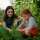 Try These Fun Tips for Sustainable Insect Control in Gardens 80x80