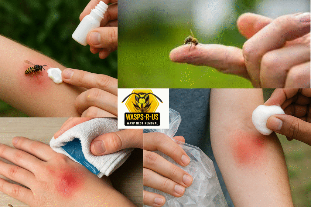 Wasp Sting Treatment How to Soothe Pain and Swelling